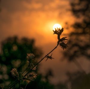 cuidate escuchate masaje ayurveda